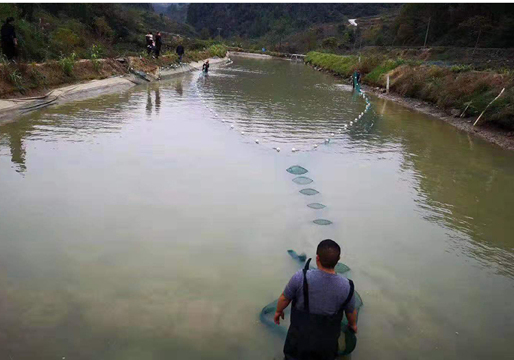 [专营店正品]双向尾巴拉网捕鱼网鱼笼虾笼拦鱼网渔网八字网拦网渔具