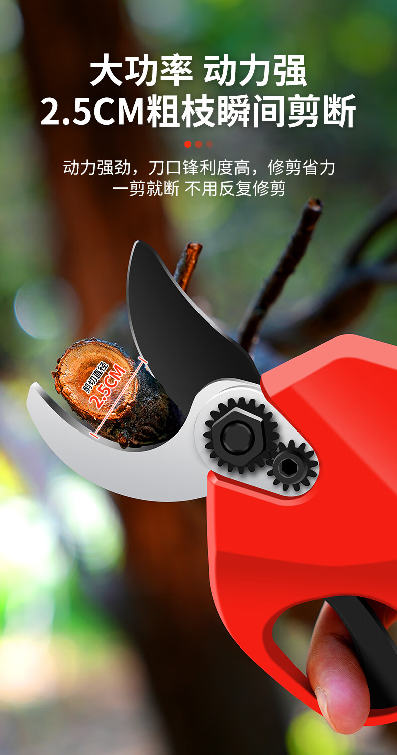 c645e0130d4f49eb.jpg