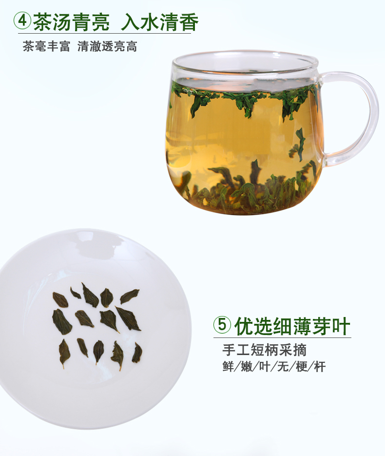 帕拉蒂托辣木茶食用辣木籽茶叶罐装辣木嫩叶可搭配辣木籽