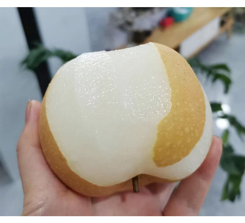 正宗山东莱阳羊脂秋月梨冰糖秋月梨子现摘水果新鲜当季应季水果黄花梨