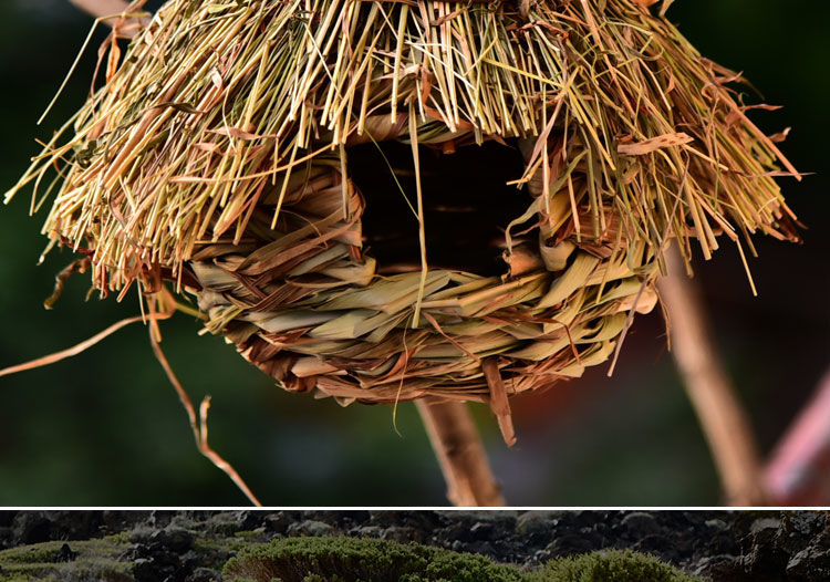 小鸟窝藤编草编鸟窝装饰鸟笼鸟巢仿真鸟窝道具鹦鹉窝保暖挂件用品一个