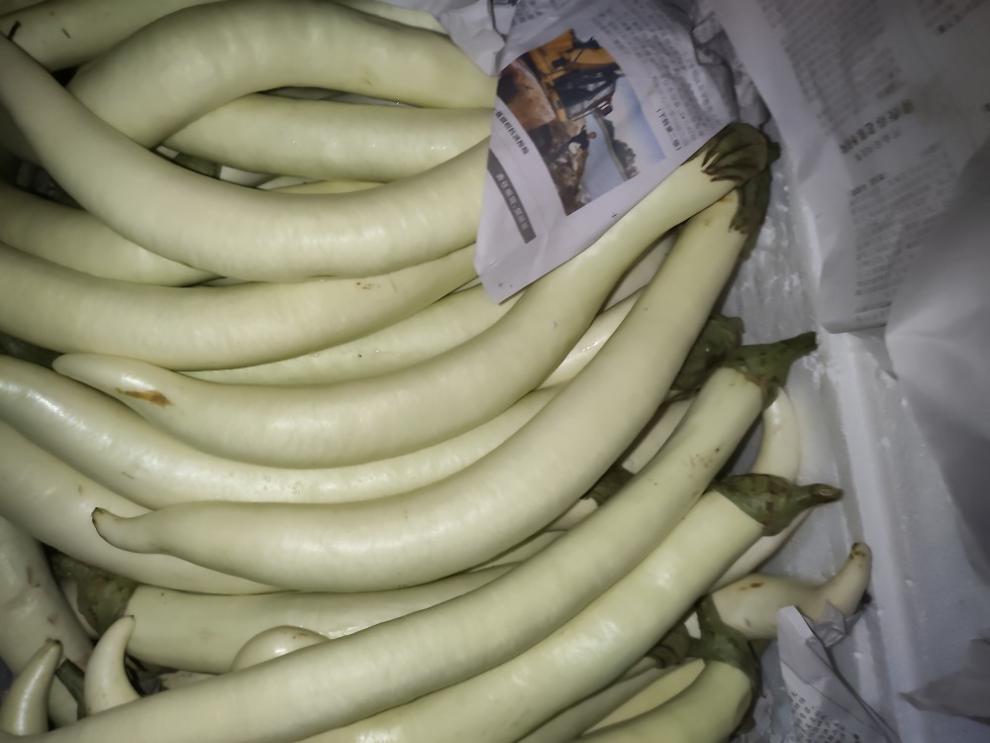 正宗潮州 10斤装 白茄子新鲜现摘农家自种露天种植潮汕特产当季蔬菜