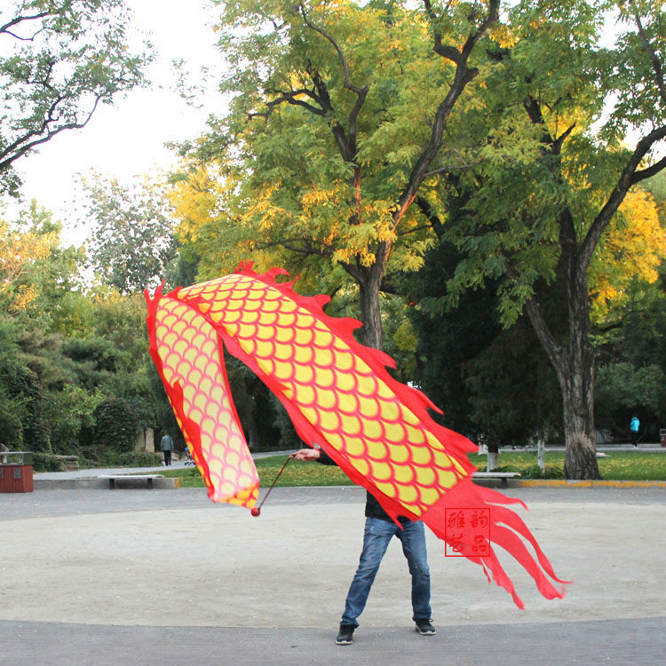 健身舞龙彩带甩龙龙飘带单人初学彩绸广场中老年绳甩球龙绸子2号5米