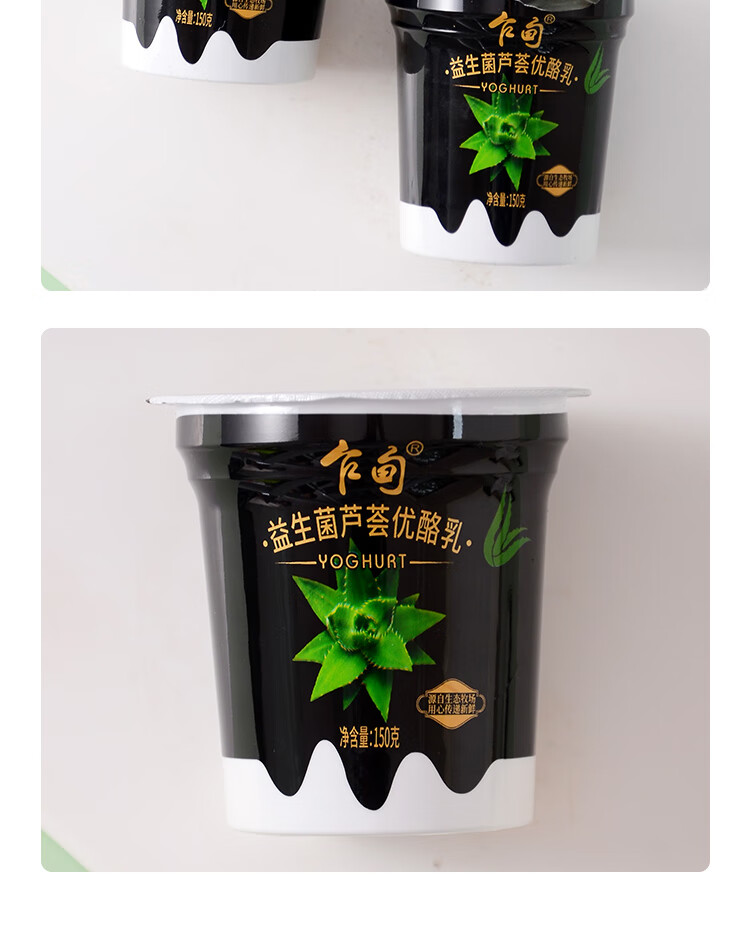 乍甸益生菌芦荟优酪乳150*12云南牧场冷藏酸奶酸牛乳风味发酵乳