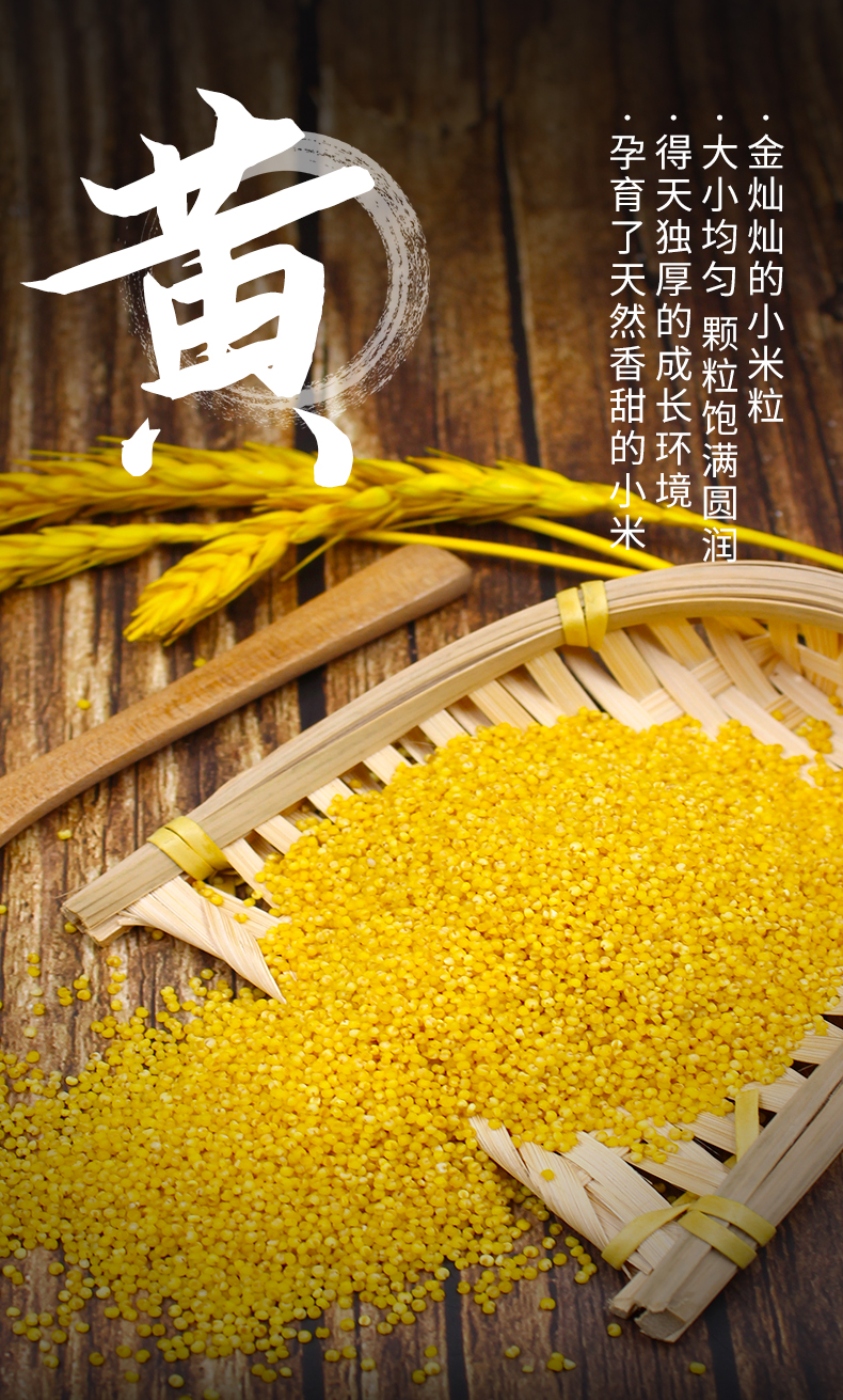 沐谷东北黄小米500g新小米朝阳农家五谷杂粮粗粮吃的糯小米粥真空包装