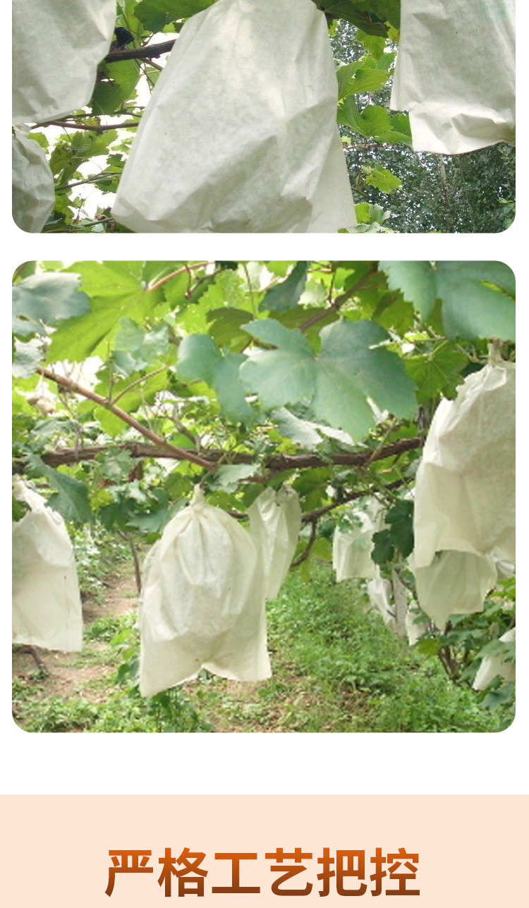 果园葡萄套袋专用纸袋家用大棚防虫防鸟水果防水雨袋子包果袋莲雾保护