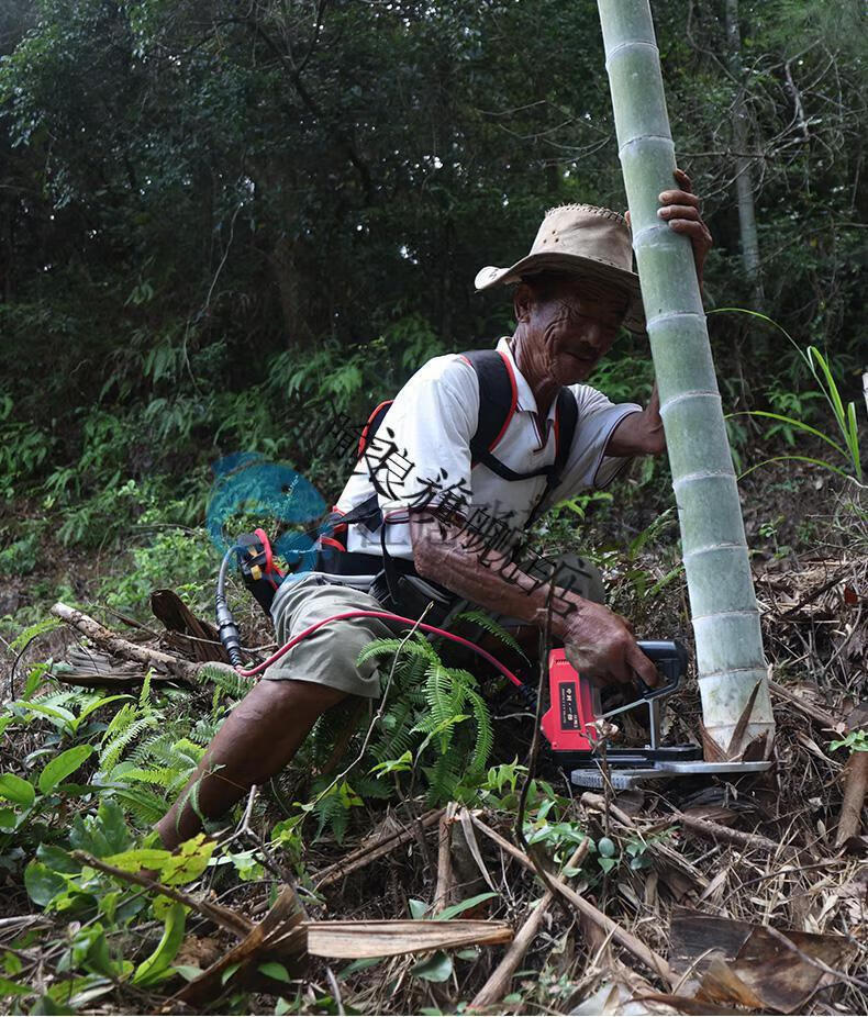 中村一郎电动伐竹剪竹机背负式伐竹专用修剪机充电式果树修枝剪 伐竹