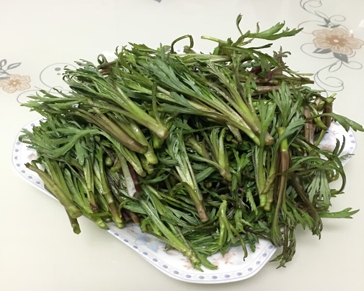 2022新鲜东北山春季野菜纯野生柳蒿芽水蒿食用蘸酱菜现采现发500g