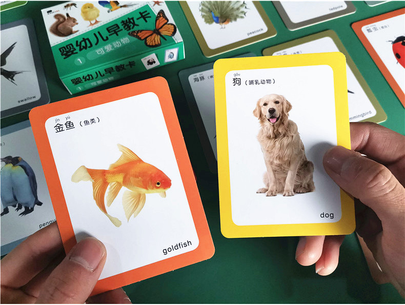 婴幼儿童早教认知卡片123岁宝宝看图识字动物数字拼音启蒙玩具玩具