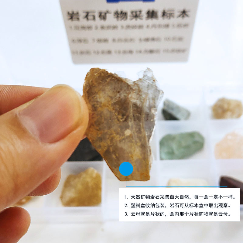 天然石头岩石标本岩石矿物采集标本认识几种常见的石头天然花岗岩云母