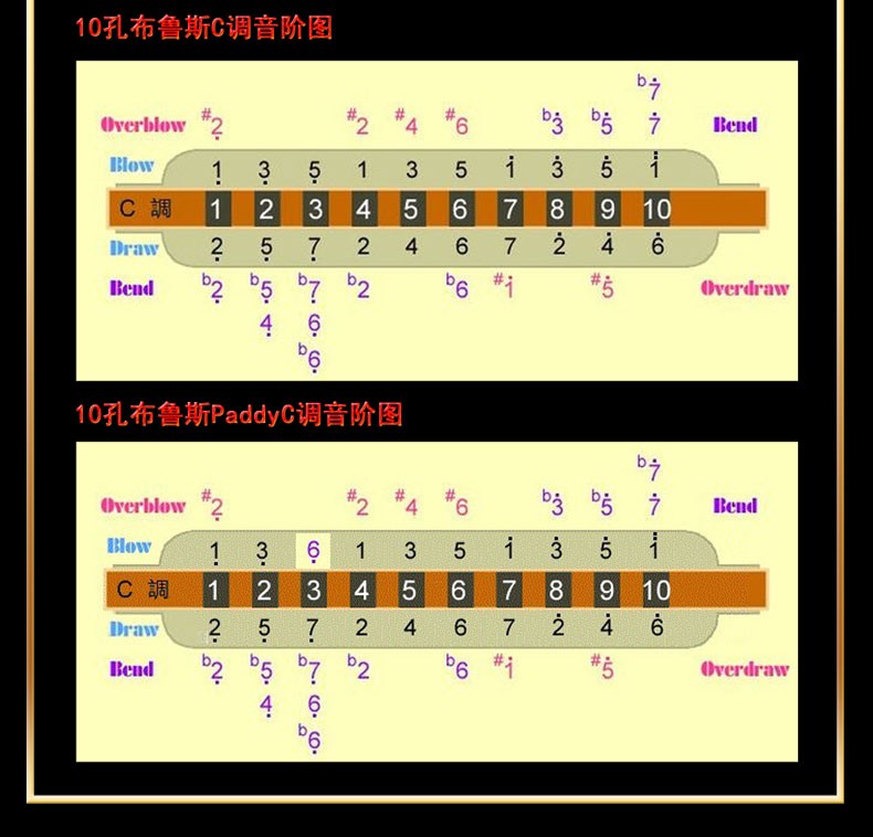 十孔口琴图解图片