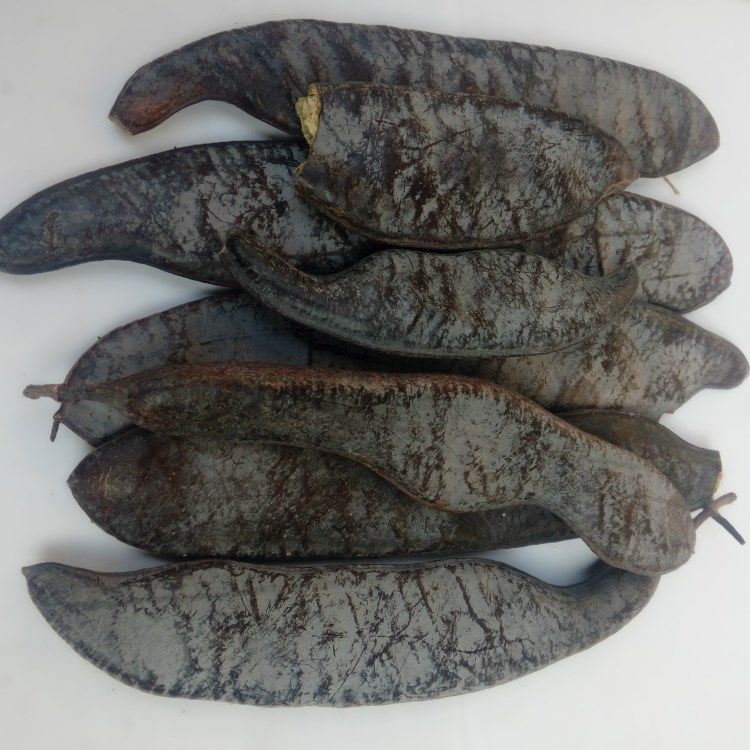 伟博皂角大皂角长皂角皂角洗头油皂角去屑染发剂白变黑皂角2斤