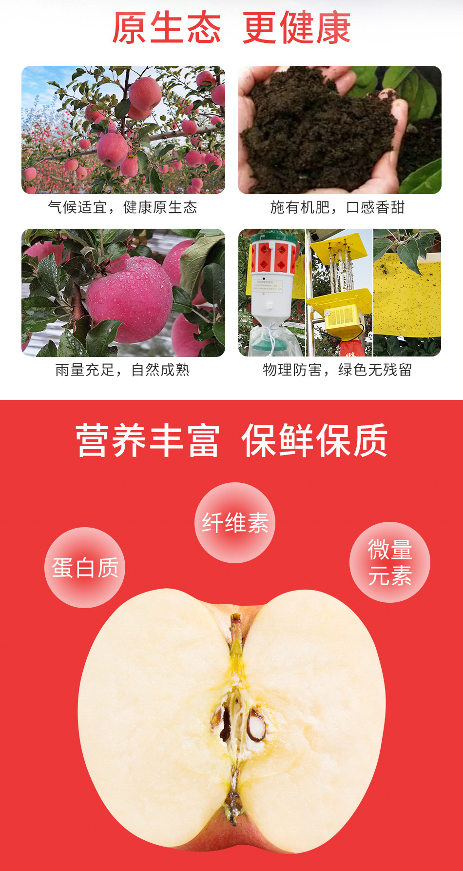 54330-金三源正宗洛川红富士苹果 大果整箱 时令生鲜水果 富含蛋白质膳食纤维素是健康低脂健身好食材 8颗轻享礼盒装(80mm-85mm果 约4斤)-详情图