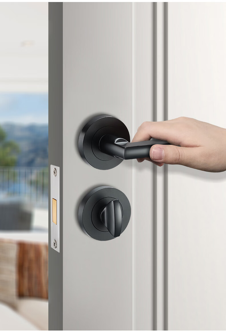 雷鸟22d隐形门锁