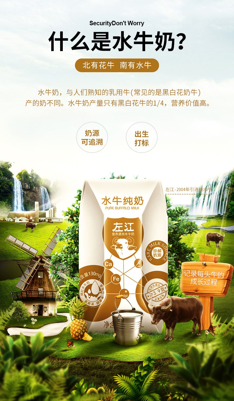 左江水牛奶200ml10盒整箱批发儿童成人学生网红营养早餐奶纯牛奶补充