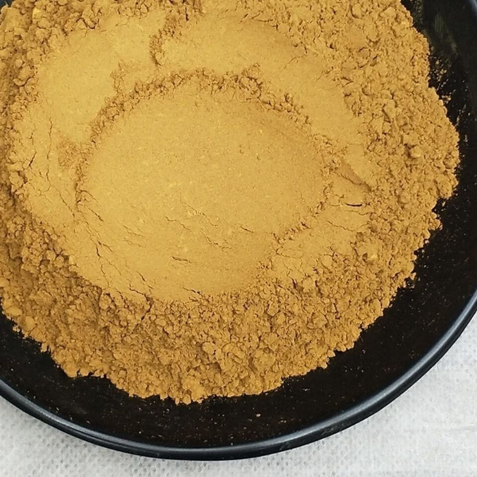 桑黄粉西藏特级桑黄500g桑树桑黄100g现磨纯粉多规格 有品味的人喝500