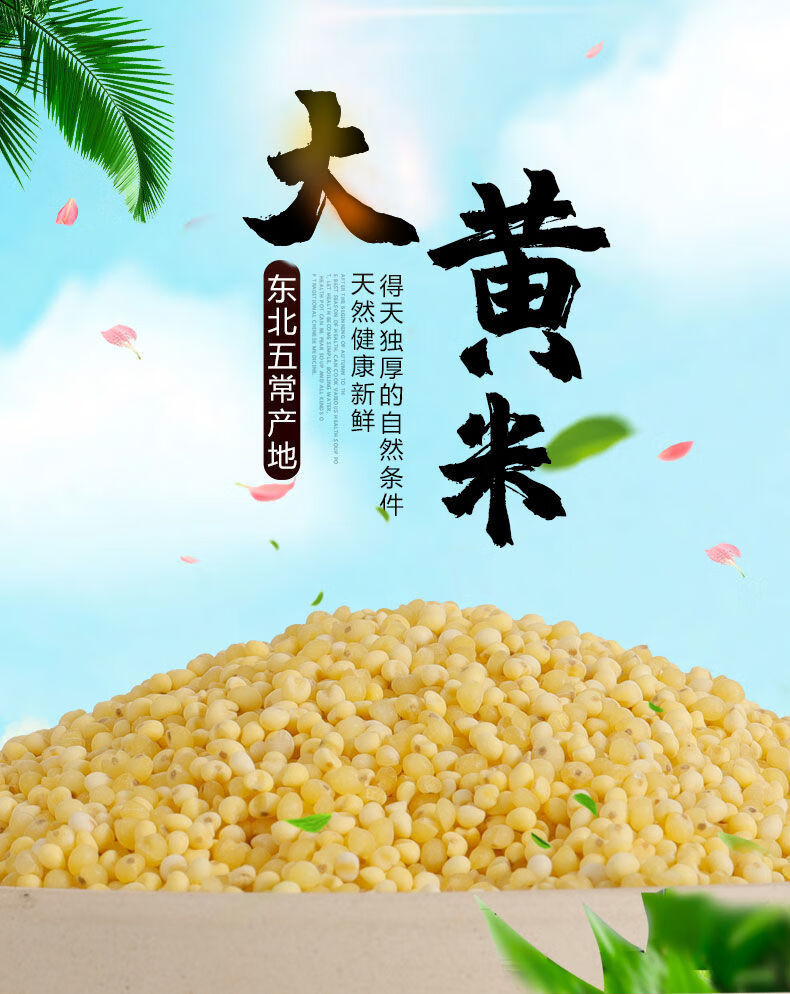 东北粘大黄米5斤农家粘糯大黄米黄小米包粽子米粘米饭米新米黍米预售