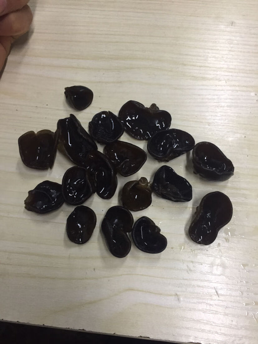 东北黑木耳秋耳小碗耳250长白山椴木老鼠耳无根干货批发香菇500g