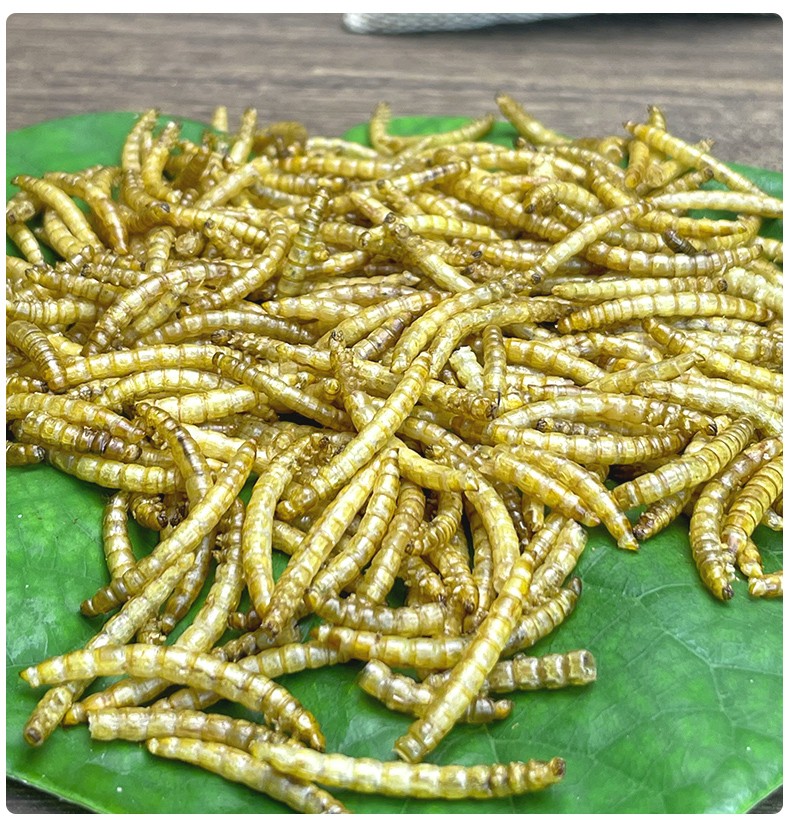 炫料面包虫干仓鼠粮刺猬食物黄粉虫干仓鼠用品宠物零食龟粮鸟鱼饲料