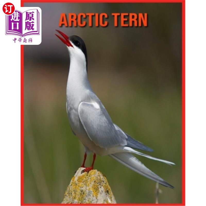 【中商海外直订】arctic tern: fascinating arctic tern fa.