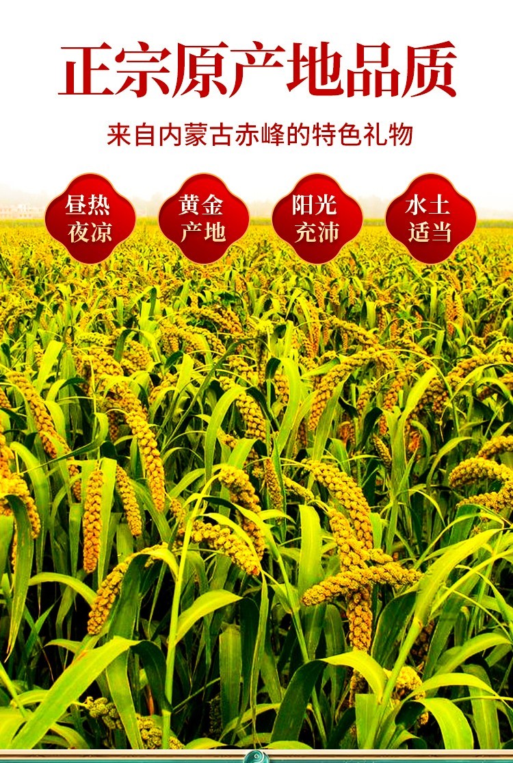 内蒙古富硒黄小米赤峰黄小米杂粮米粥礼盒新米 企业团购福利 礼盒送礼