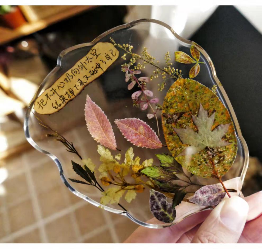 真实植物标本枝春zcstudio创意滴胶杯垫装饰复古伴手礼压花礼品拍摄n