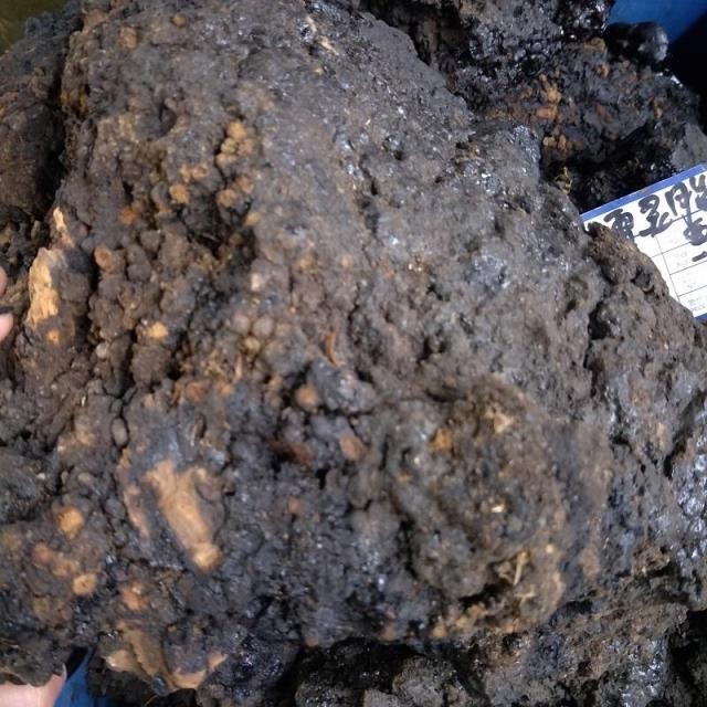 【优选】 2022新货】中药材猴结 猴竭 实物拍摄血灵芝 脂 乌猿结500克