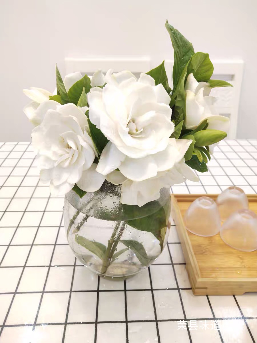 大叶重瓣插花鲜花浓香型奶油香味栀子花村24朵花苞鲜切花c 24朵枝条10