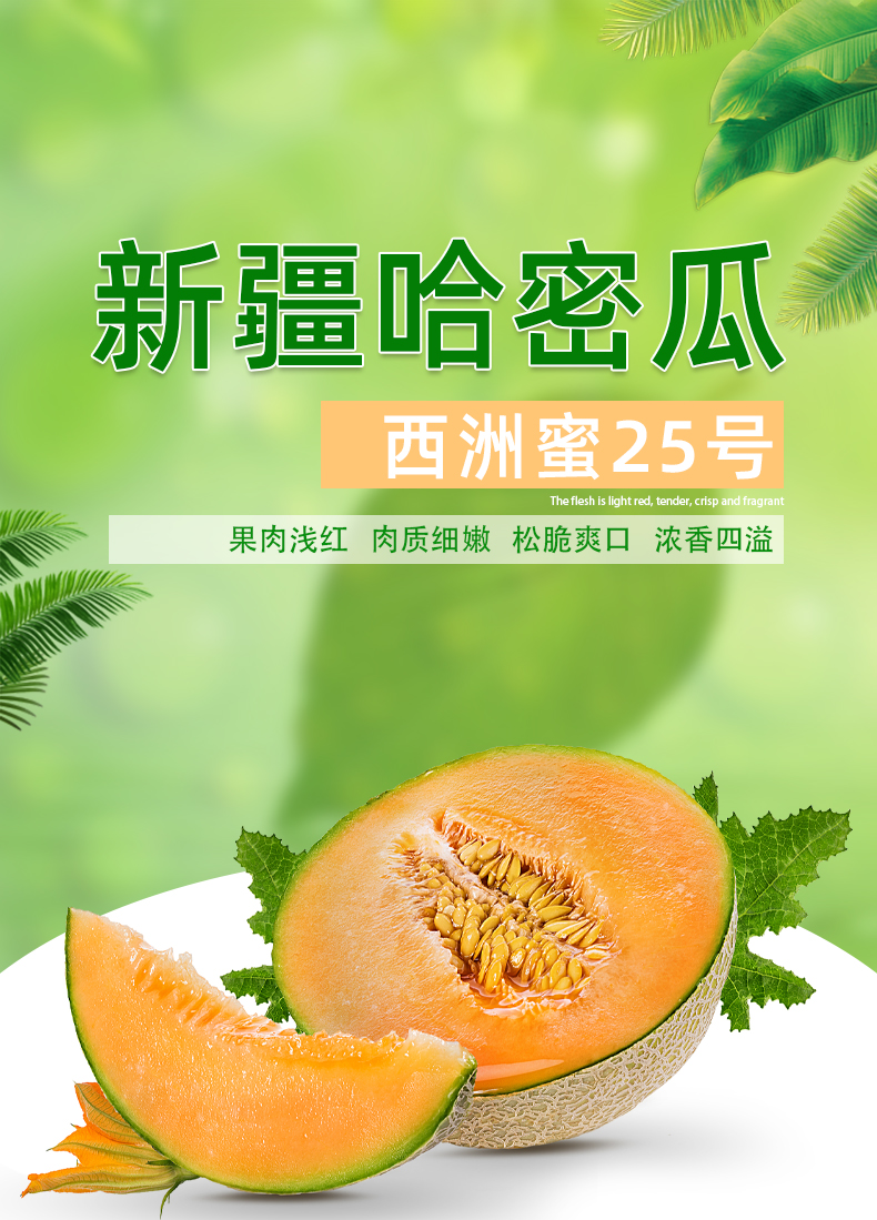 新疆哈密瓜吐鲁番西州蜜25号正宗火焰蜜瓜新鲜应季网纹瓜香甜蜜瓜4个