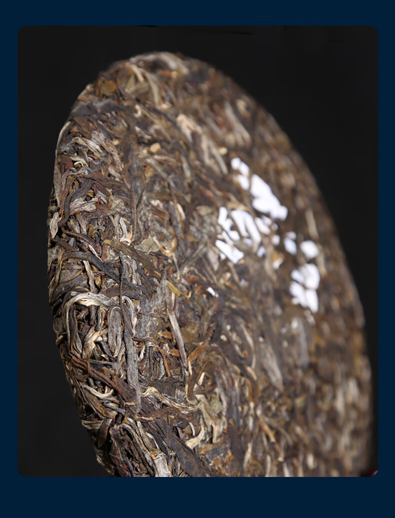 茶者(chazhe) 普洱茶生茶2022年五星凤凰窝古树茶叶【图片 价格 品牌