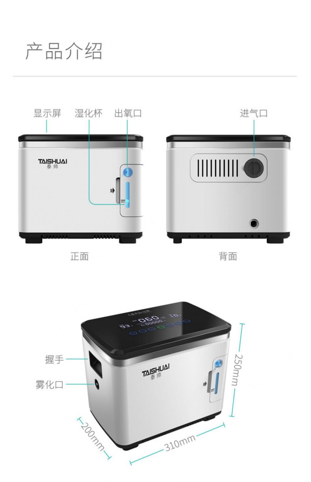 泰帅用制氧机家用吸氧机老人氧气机高原便携式小型孕妇吸氧17l标配款