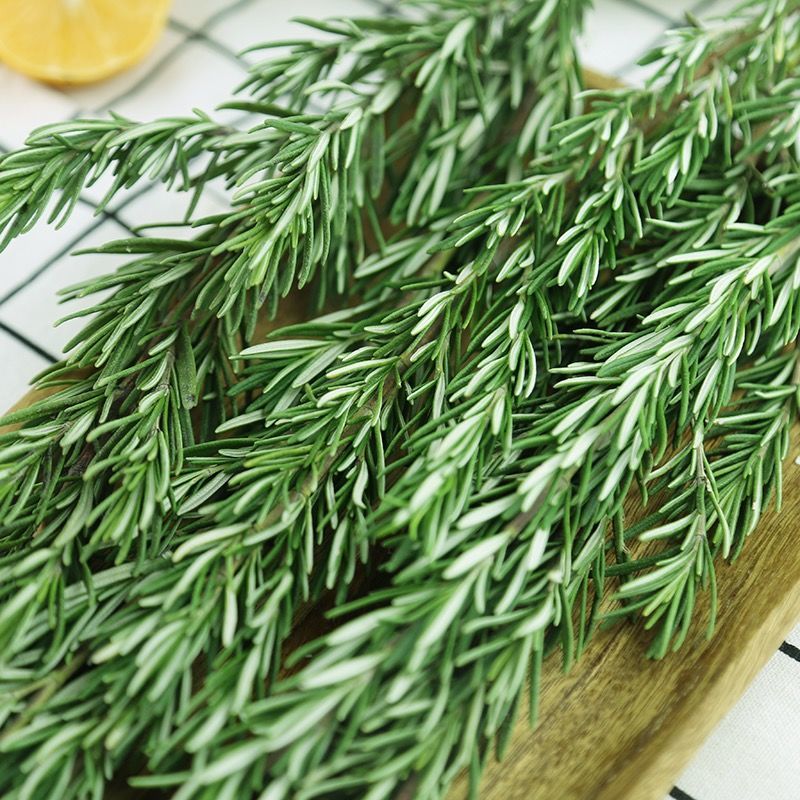新款散装法香香料迷迭香新鲜百里香香茅牛排食用专用香料 百里香【100