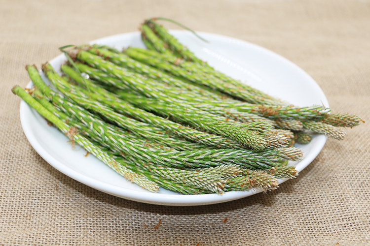 长白山松针茶 嫩松树尖 松针嫩芽 松树嫩芽 养生茶500g【图片 价格