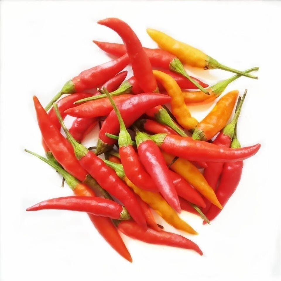 朵蕙2021新鲜泡椒红黄色小i米椒小i米辣朝天椒指天椒特辣剁椒巨辣魔鬼