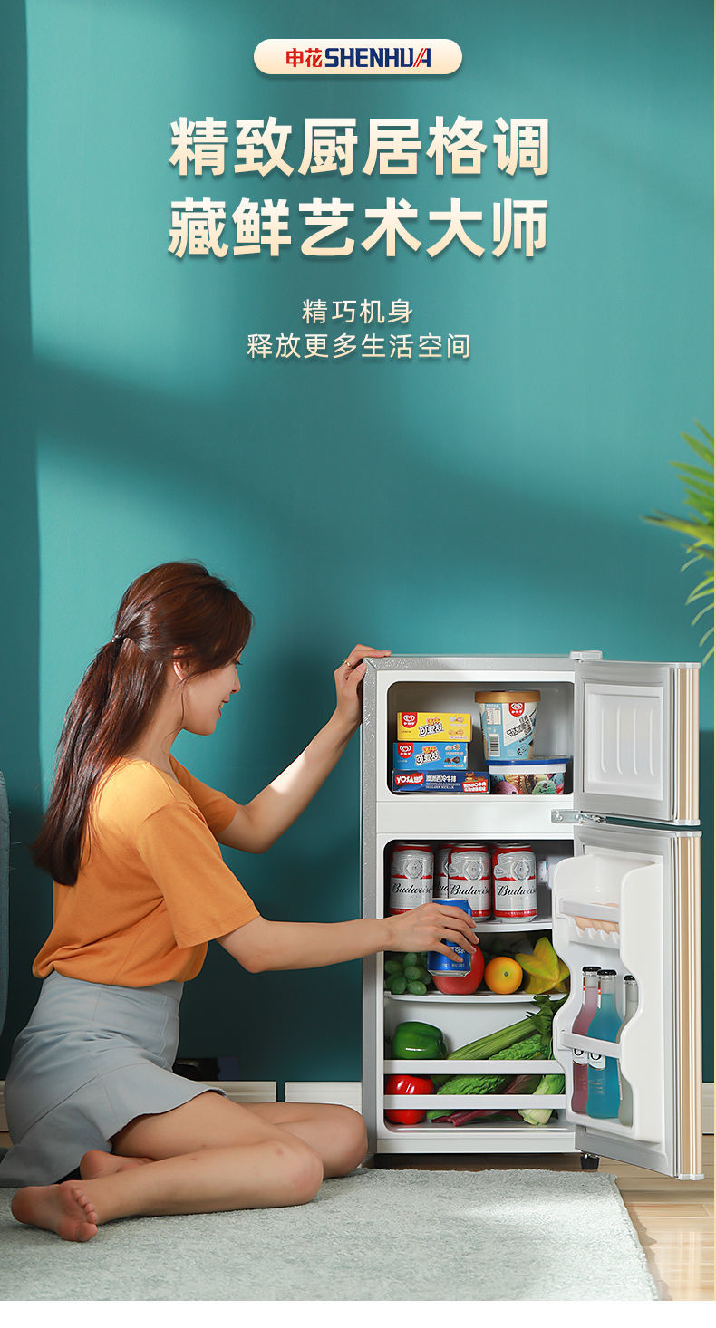 申花小冰箱家用小型办公室租房宿舍节能省电冷冻冷藏迷你小冰箱aux cb
