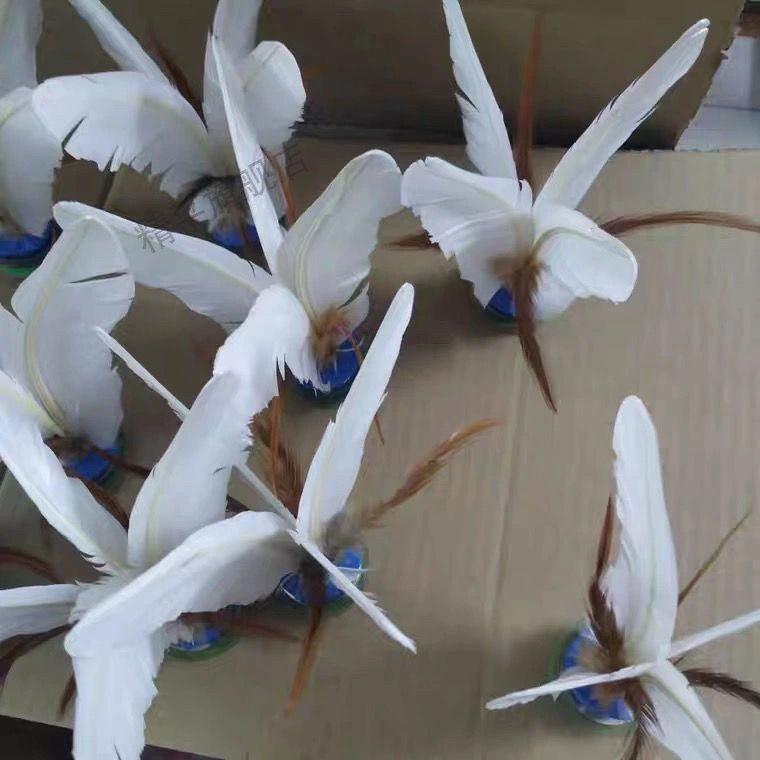 大白色鹅毛好鸡毛毽牛筋底儿童小学生比赛大花毽批发白色三个大白毽