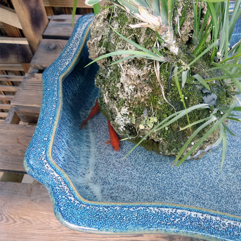 景德镇高温无孔可以养鱼花盆深水假山上水石盆景创意长方形乌龟盆水墨