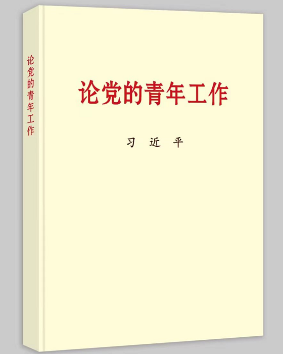 论党的青年工作大字本