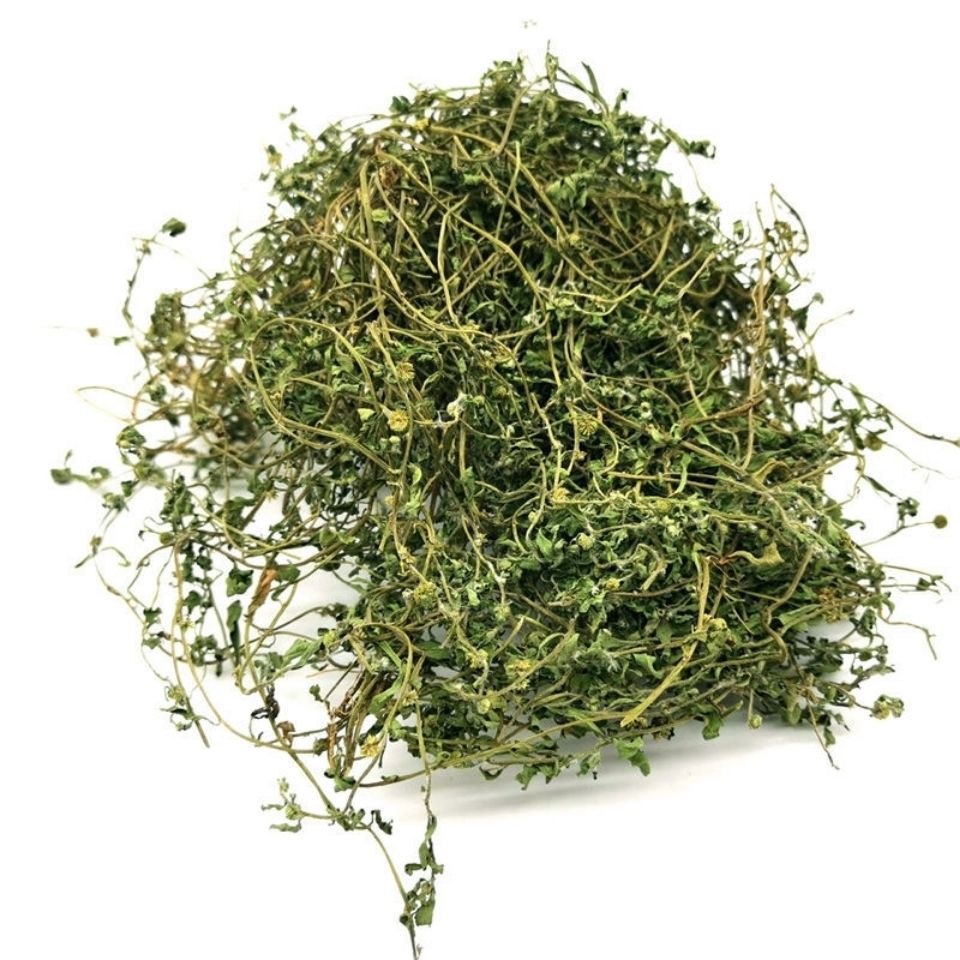 鹅不食草中药材鹅不食草新鲜干货石胡荽鹅不食草鼻粉可鹅粉鹅不食草