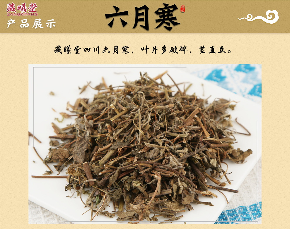 寒性草图片功效和作用图片