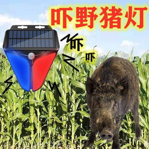 吓野兽喇叭太阳能吓野猪灯防野猪人体感应报警器防盗灯驱兽农场声