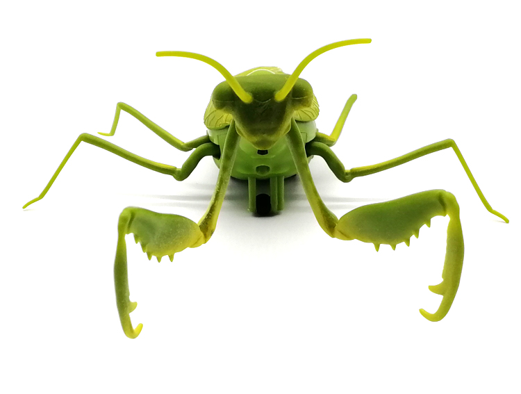 遥控螳螂玩具创意仿真动物昆虫新奇会动男孩恶搞整蛊仿真活物昆虫吓人