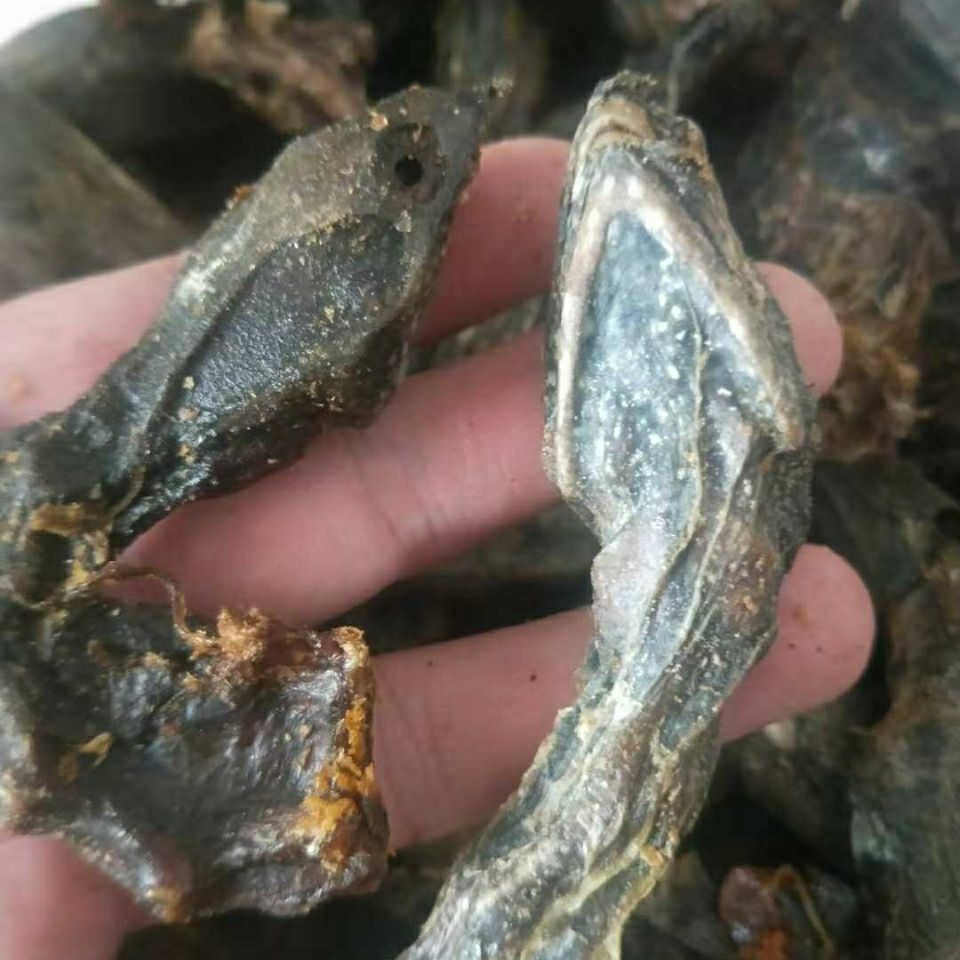 伟博鳖头干货鳖首 甲鱼头 团鱼头 老鳖头中药材