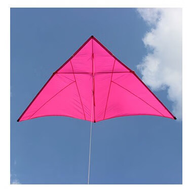 风筝成人王侉子风筝大型三角544伞布软碳杆微风易飞大人专用潍坊 5