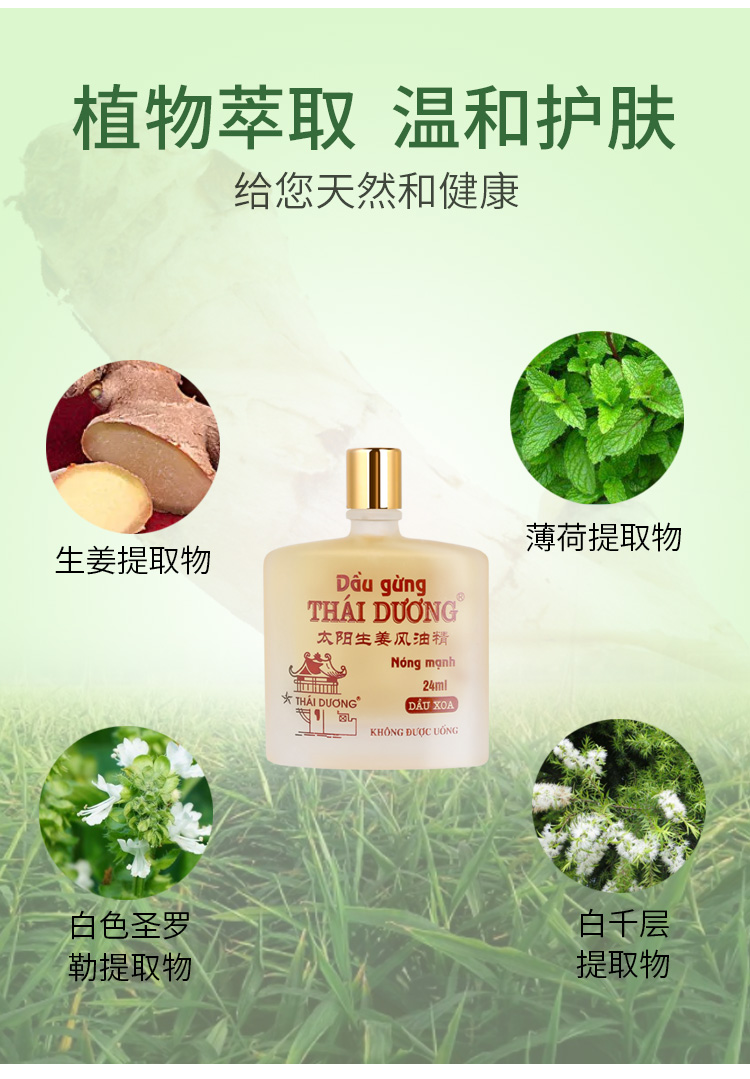 saothaiduong施汀宣太阳生姜风油膏 蚊虫叮咬24ml【图片 价格 品牌
