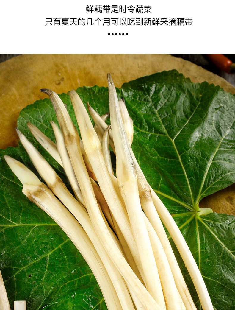 晨臻【顺丰-只发鲜嫩前杆处】洪湖鲜藕带 现挖现发藕尖 藕肠子 莲藕梢