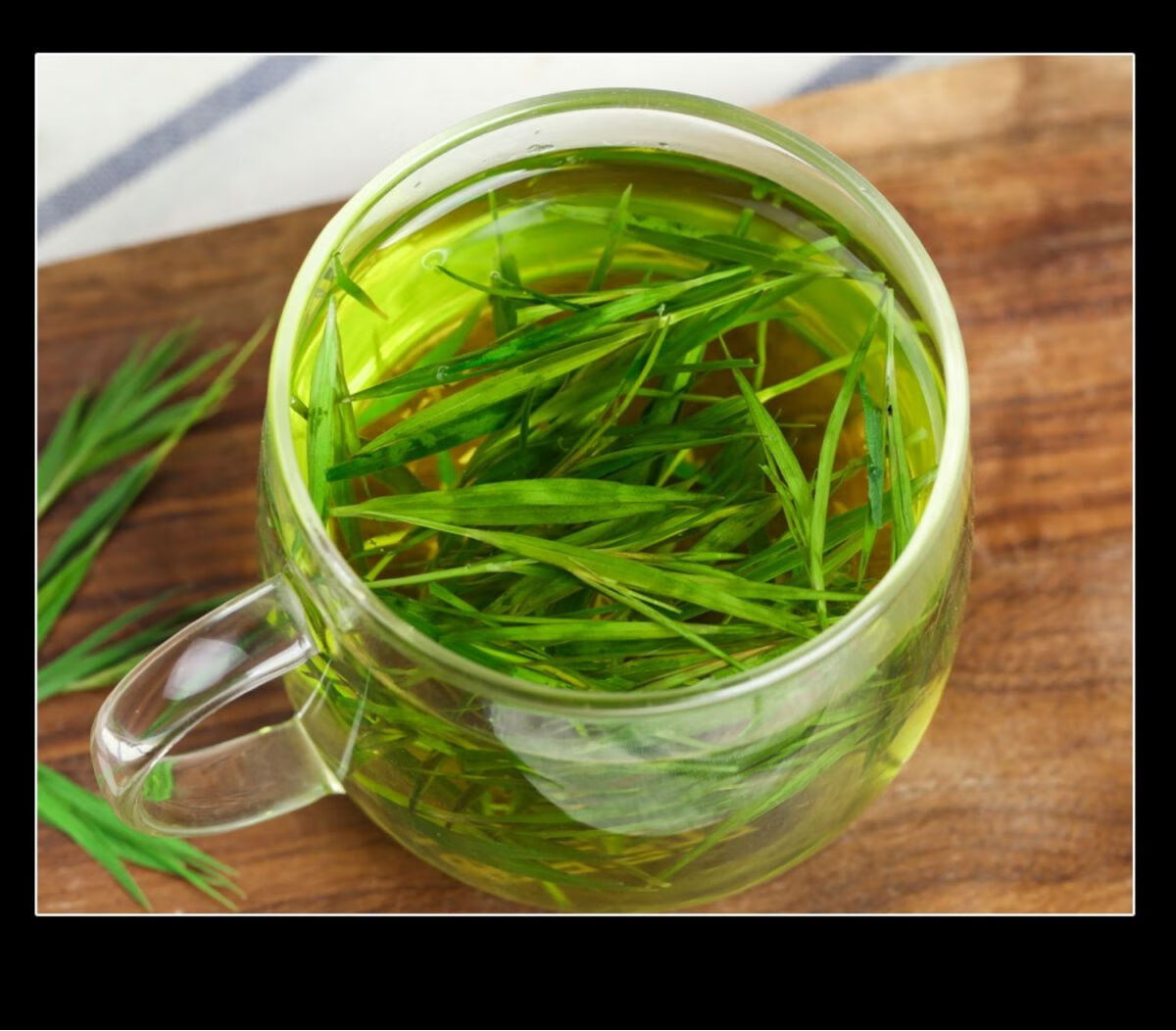 伟博买1送1崂山石竹茶石竹青竹叶淡竹叶特级野生新鲜散装嫩芽火去