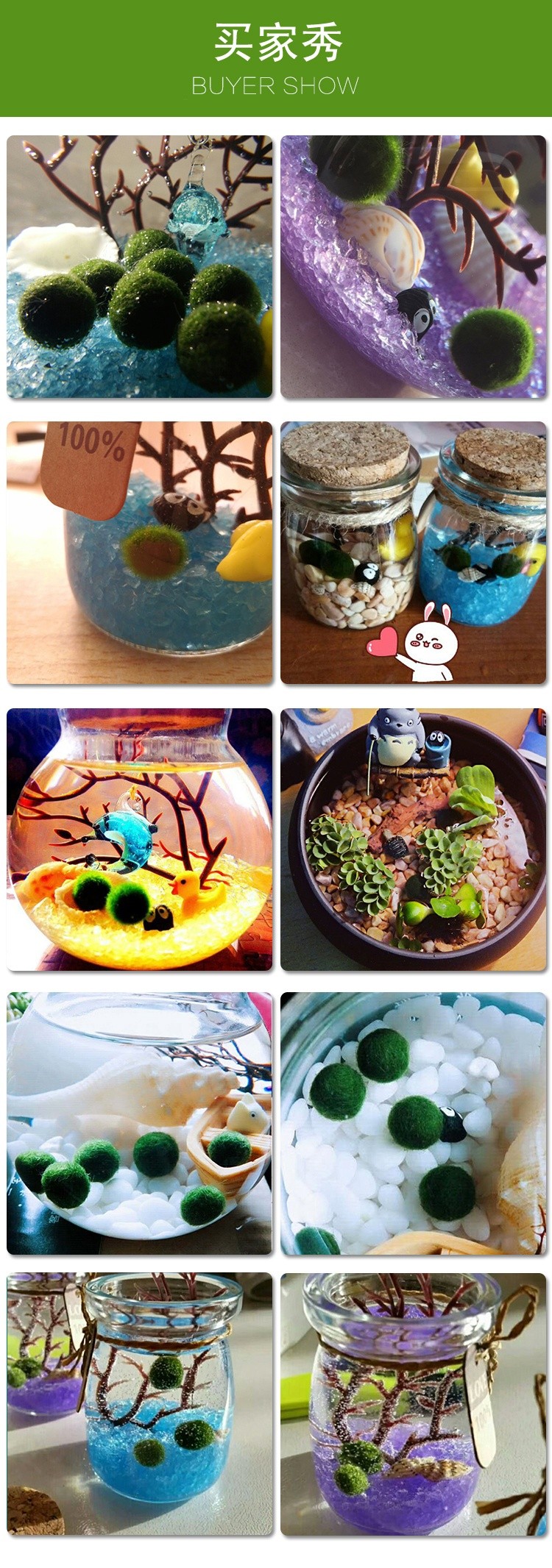 碧湘幸福海藻球微景观生态瓶水培植物球藻创意迷你植物小盆栽水生绿植