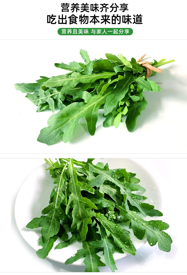 【jd物流】 芝麻叶 新鲜生菜芝麻菜火箭菜新鲜即食西餐蔬菜沙拉生菜