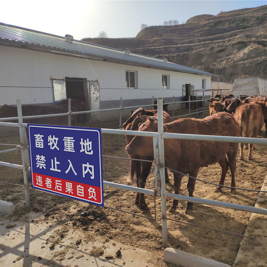 釣魚嚴禁游泳標誌養殖重地告示牌溺水安全標識牌鋁板反光ssx1630x40cm